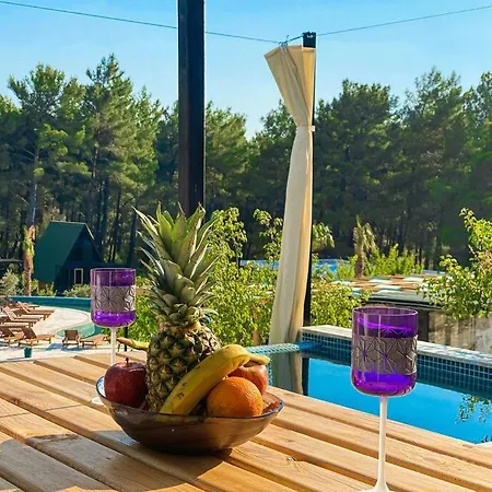 펜션 Kas Palamut'Ta Korunakli, Oezel Havuzlu Bungalov 카스